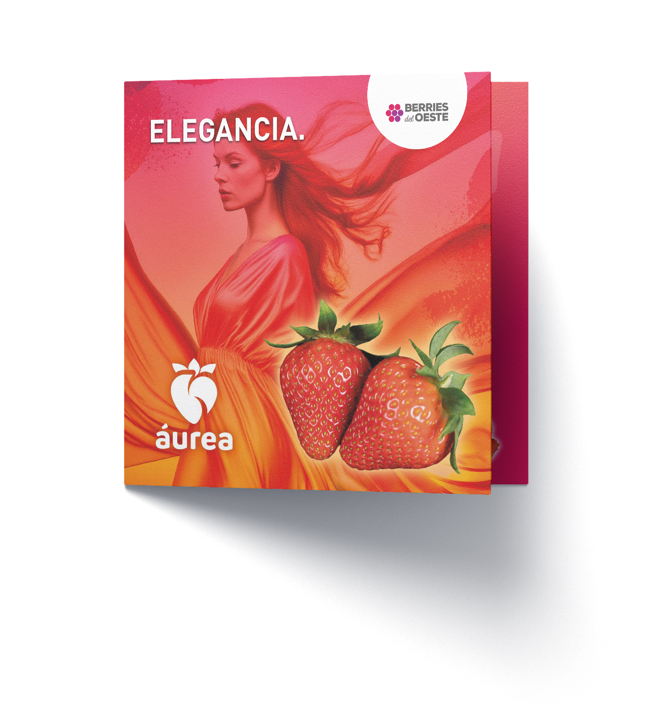 aurea3d Descarga Lourdesa »